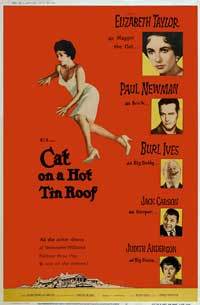 Cat on a Hot Tin Roof
