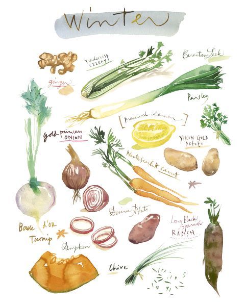 Winter Vegetables