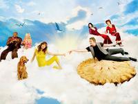 Pushing Daisies (TV)