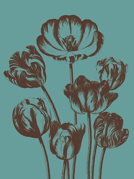 Tulip 5