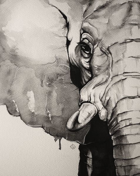 Watercolor Elephant