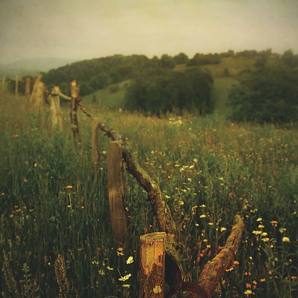 Another Place 4