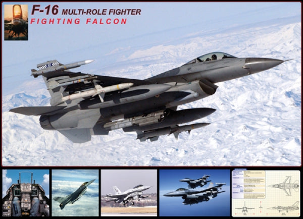 F-16 Fighting Falcon