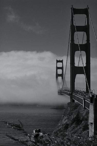 Golden Gate Fog