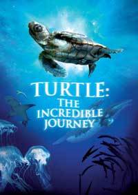 Turtle: The Incredible Journey