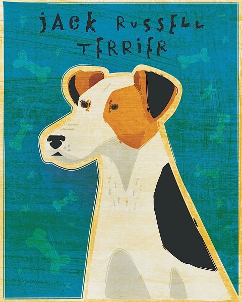 Jack Russell Terrier