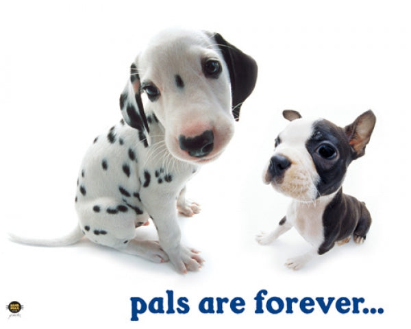 Pals Are Forever