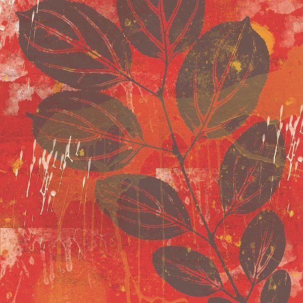 Exotic Vine