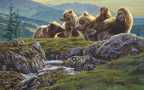 Above the Ridge