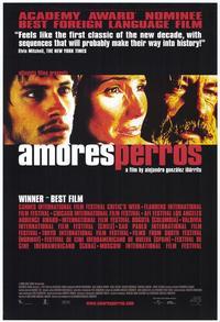 Amores Perros