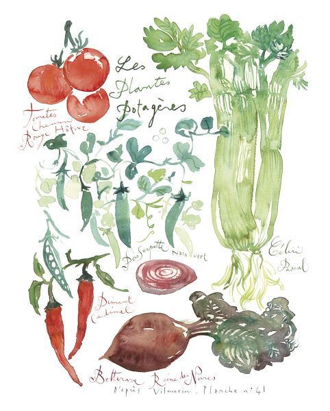 Vegetable Poster