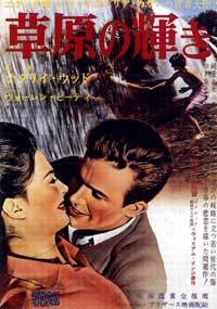 Splendor in the Grass