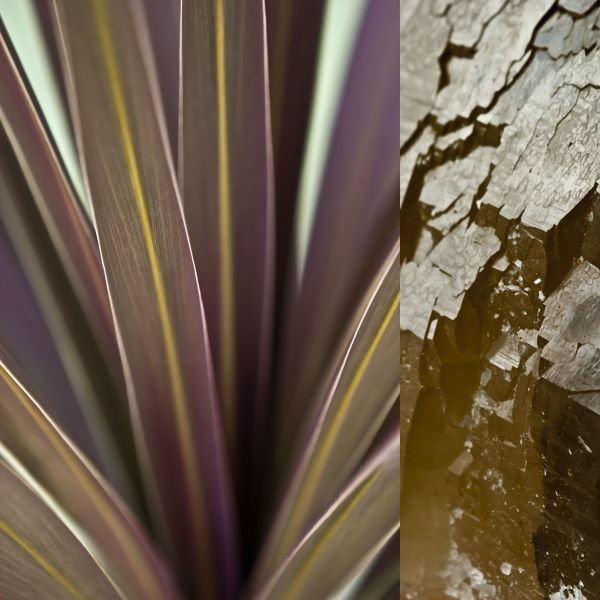 Desert Jewels II