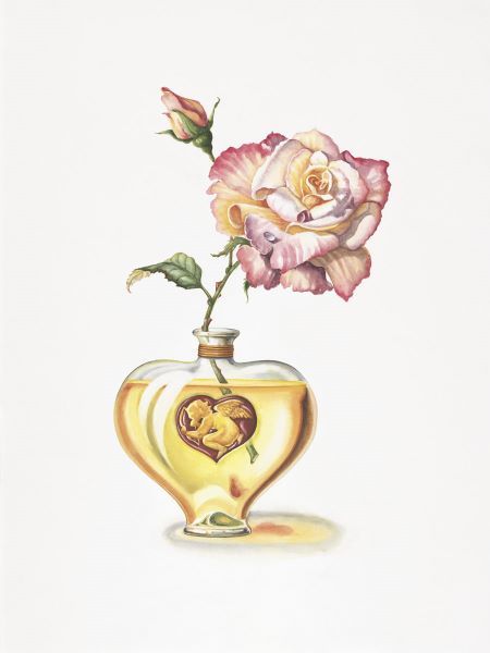 Love Potion