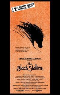 The Black Stallion