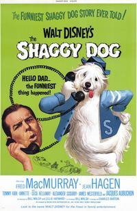 The Shaggy Dog