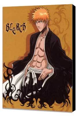 Bleach (TV)