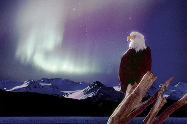 Eagle - Aurora Borealis