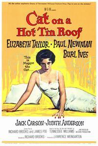 Cat on a Hot Tin Roof