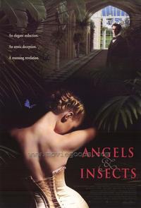 Angels and Insects