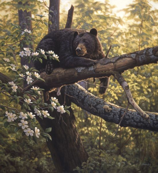 Longing for Apples