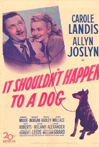 It Shouldn't Happen to a Dog