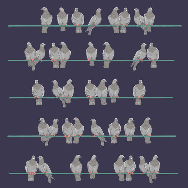 For the Boids