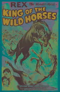 King of the Wild Horses