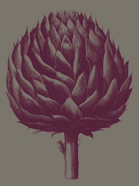 Artichoke (grey-plum)
