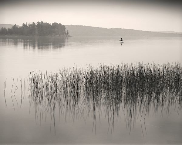 Late Afternoon Fishing