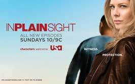In Plain Sight (TV)