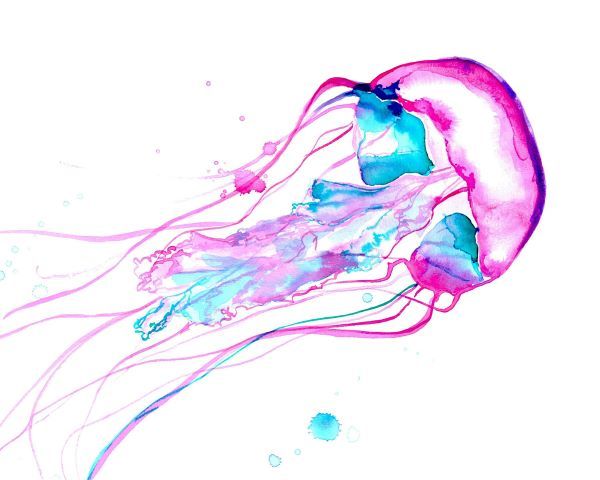 Jellyfish Study No. 2