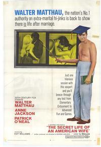 The Secret Life of an American Wife