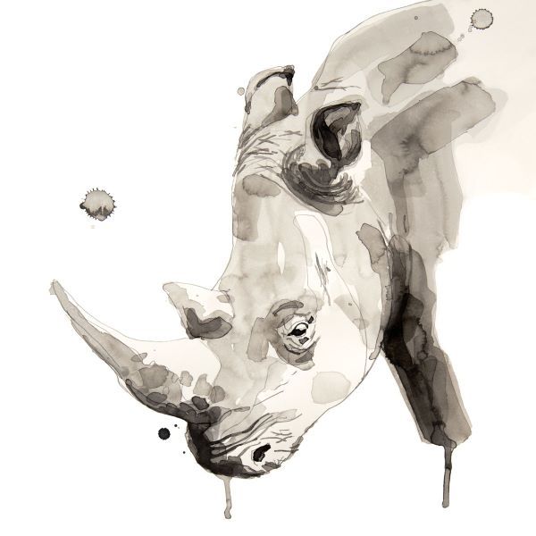 Rhino