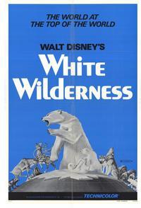 White Wilderness