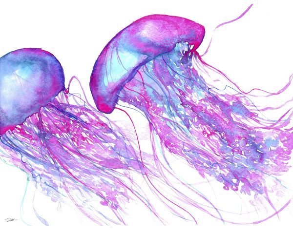 Perfect Pair oâ€™ Jellies