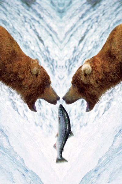 Two Bears For One Fish