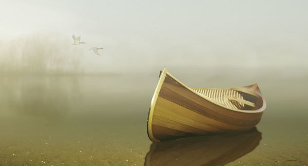 Alone in the Mist 2