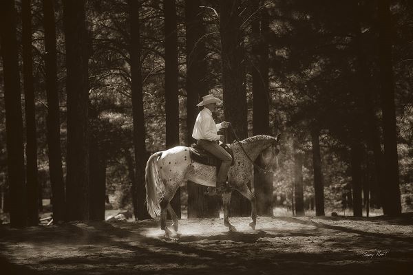 High Country Cowboy