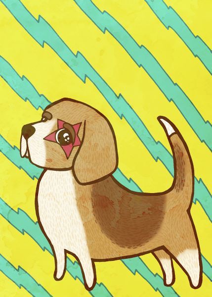 Beagle