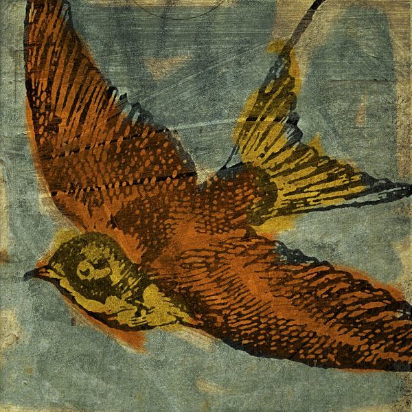 Bird Collage No. 1