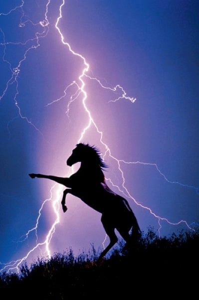 Lightning And Silhouette Of A Horse