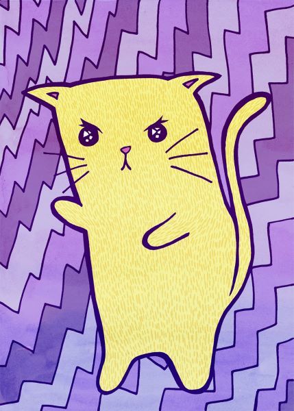 Angry Cat