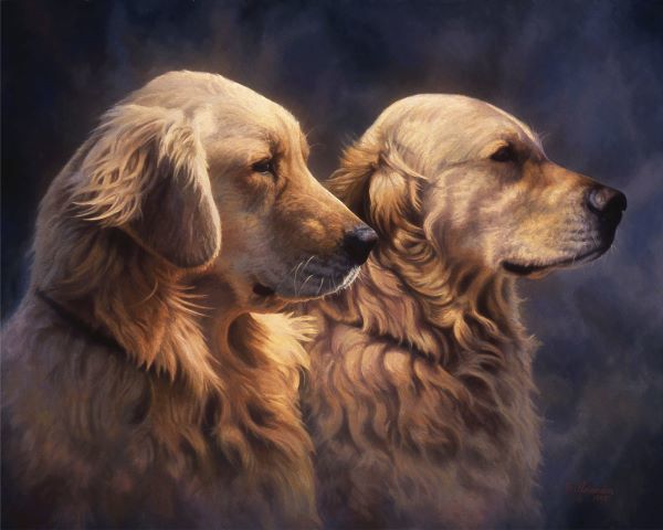 Blond Goldens