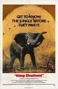 King Elephant