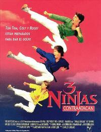 3 Ninjas Kick Back