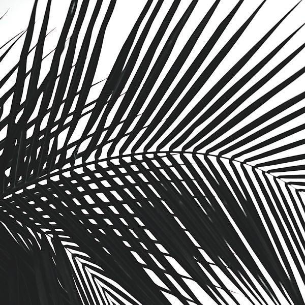 Palms 10 (detail)