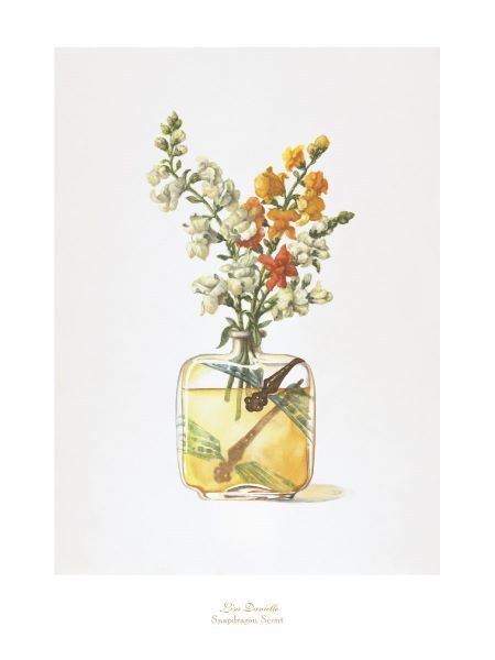 Snapdragon Scent
