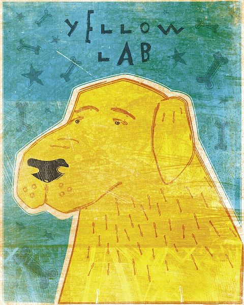 Lab (yellow)