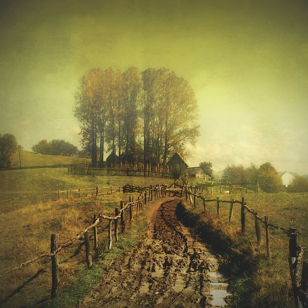 Another Place